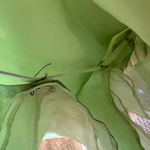 Regency Light Green Gown - Picture 6 of 9